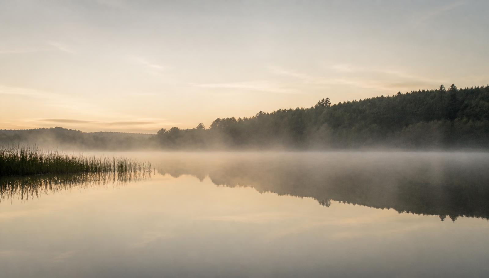 A still pond at dawn with mist resting over the water